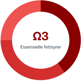 Grafisk fremstilling av Hjernekraft-prosjektet, sannsynligvis med fokus på Fiskebilen og Fiskeruta.