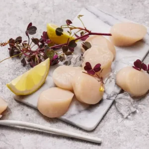 Premium kamskjell fra Fiskeruta – delikat sjømat med mild, søt smak og fast konsistens