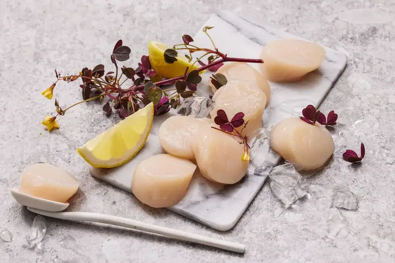 Premium kamskjell fra Fiskeruta – delikat sjømat med mild, søt smak og fast konsistens